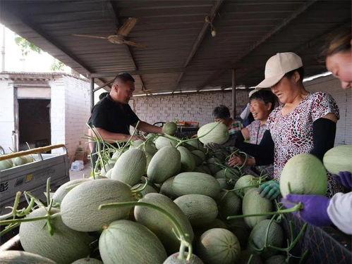 吃瓜网咋上不去了,揭秘网络访问受阻之谜